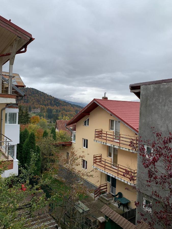 Hotel Cristina, Alex Si Prietenii Buşteni Exterior foto